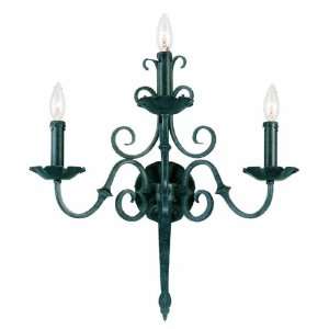   5361 99 Auburndale Collection Single Light Wall Sconce, Wrought Iron