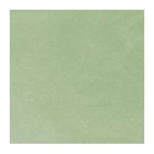  Minky Smooth Fabric   Lt. Sage Arts, Crafts & Sewing