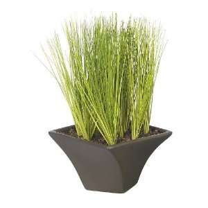  9 Potted Grass w/Black Vase