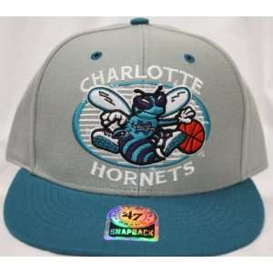  Charlotte Hornets Snapback Retro Logo Gray / Teal Two Tone 