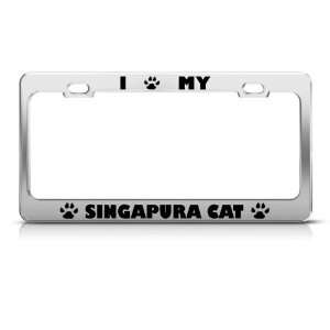  Singapura Cat Chrome Animal license plate frame Stainless 