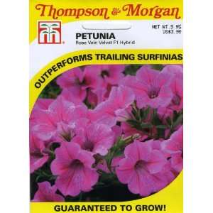   Petunia Rose vein Velvet F1 Hybrid Seed Packet Patio, Lawn & Garden