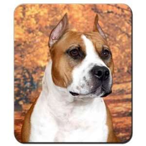 American Staffordshire Terrier Mousepad