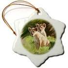 3dRose LLC Wild animals   Lion Cub   Ornaments