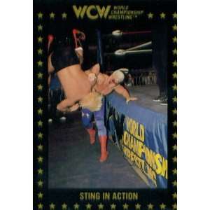    1991 WCW Collectible Wrestling Card #109  Sting