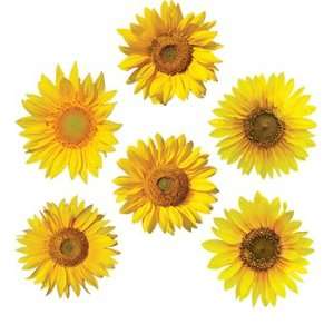  New Edupress Sunflowers Accents great patterning activities 