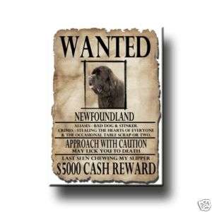 NEWFOUNDLAND Wanted Poster FRIDGE MAGNET No1 Brown DOG  