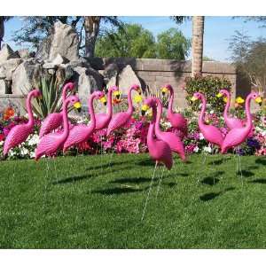 Pink Yard Flamingos in Bulk for Flocking Surprises or A Pink Flamingo 