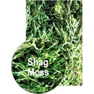 Nature Zone Shag Moss 