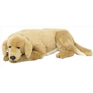  Golden Retriever Lap Dog