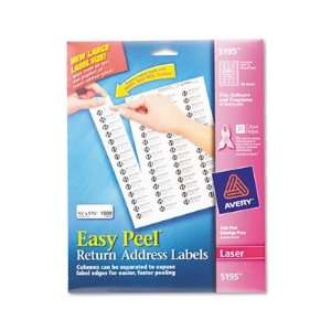  New Easy Peel Laser Address Labels Case Pack 2   498853 