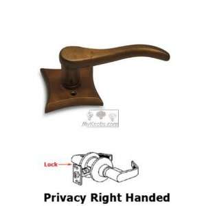     privacy right handed curved lever with concave