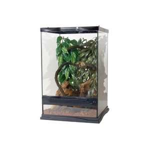   Terrarium, 18 L X 18 W X 18 H 