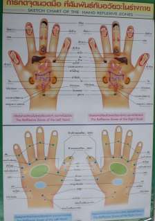 Handreflexzonen Massage Poster Thai 55x88cm PORTOFREI  