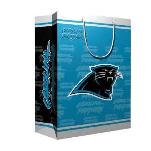  Carolina Panthers NFL Medium Gift Bag (9.75 Tall) Sports 
