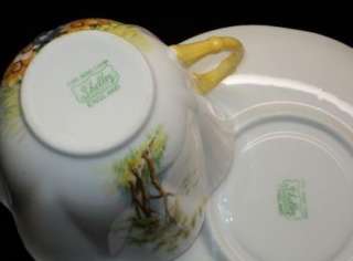 Shelley Dainty Daffy Time simplyTclub Tea cup and saucer  