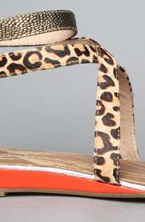 Matiko Shoes The Rosa Sandal in Leopard and Coral  Karmaloop 