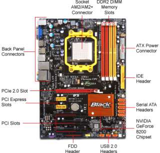 ECS GF8200A Motherboard   v1.0, NVIDIA GeForce 8200, Socket AM2 