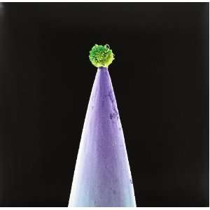 New Blood [Vinyl LP] Peter Gabriel  Musik