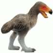  Gefiederte Dinosaurier und Urvögel in Museumsqualität