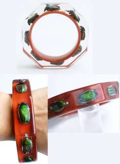 Fun red lucite bracelet with real exotic insects  