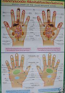 Handreflexzonen Massage Poster Thai 55x88cm PORTOFREI  