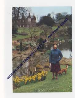 p9175   Queen Elizabeth & dogs at Sandringham   Royalty postcard 