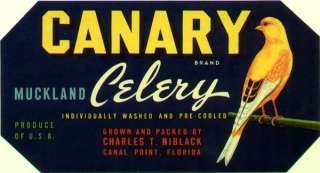 Canary Celery Label Canal Point, Florida Bird 1940  