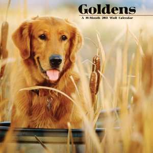  Goldens   Golden Retriever   2011 Wall Calendar Office 