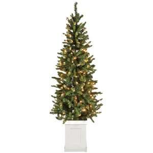   Porch Mixed Pine Tree with Milk White Pot, 6 Foot