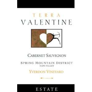  2005 Terra Valentine Yverdon Vineyard Napa Cabernet Sauvignon 