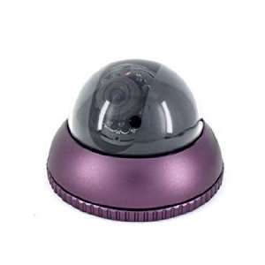   Sharp Color CCD 3.6mm Lens Vandal proof Camera with 50 IR Camera