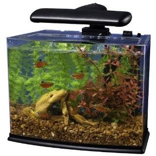 Tetra Crescent Aquarium Kit, 3 Gallon