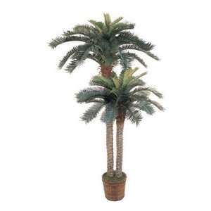  6 & 4 Sago Palm Double Potted Silk Tree Patio, Lawn 