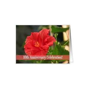  Red Flower 10th Anniversary Invitations Card Health 