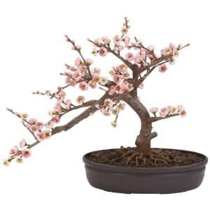  Cherry Blossom Bonsai Silk Tree Electronics
