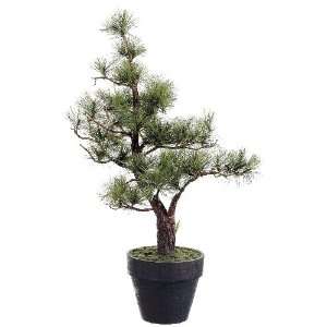  30 Pine Bonsai Tree in Container Green   LPB178 GR Silk 