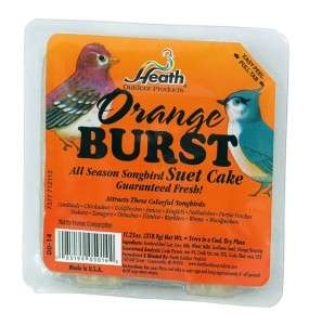 Heath Orange Burst Suet Cake Wild Bird Food 12 Pack  