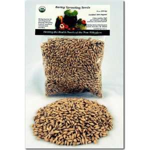   Barley Seeds   Barley Grass / Barleygrass Seed   8 Oz