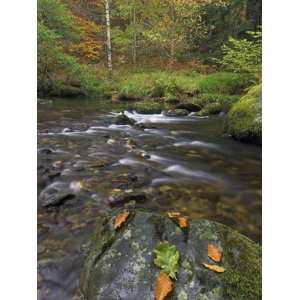 Autumn Colours at Aira Beck Which Flows from Aira Force into Ullswater 
