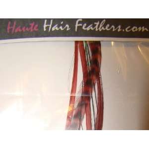    Feather Hair Extension with Tinsel (Mistletoe Bling Bundle) Beauty