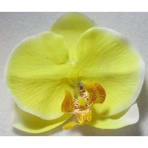 NEW Yellow Phalaenopsis Orchid Hair Flower Clip with Crystal, Limited.