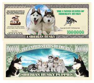 Siberian Husky Puppy Dog Novelty One Million Dollar Bill  