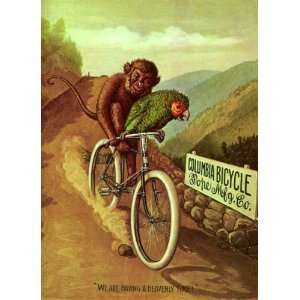  Columbia Bicycle Pope Monkey and Parrot Vintage Bicycle 
