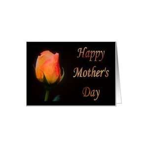  Happy Mothers Day with single rose bud Card Health 
