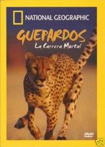 GUEPARDOS NATIONAL GEOGRAPHIC EN ESPANOL/ENGLISH  