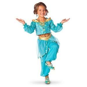   Arabian Princess Jasmine from Aladdin Costume 