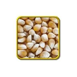   Pollinated Corn Seeds   South American Yellow Bulk Vegetable Seeds