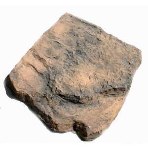  AWG   Rock Lid   Sandstone Brown   Fits PS14000/20000 