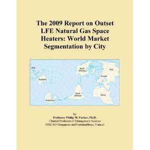 The 2009 Report on Outset LFE Natural Gas Space Heaters World Market 